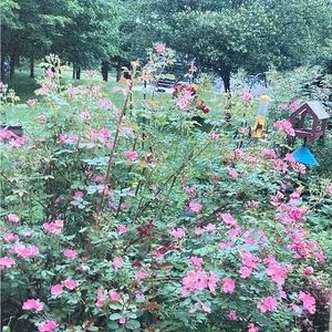 Canvas print from my photo